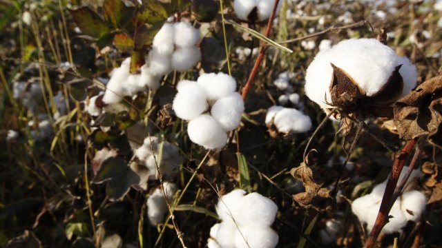 <p>
	<em>Снимка: Ройтерс</em></p>
