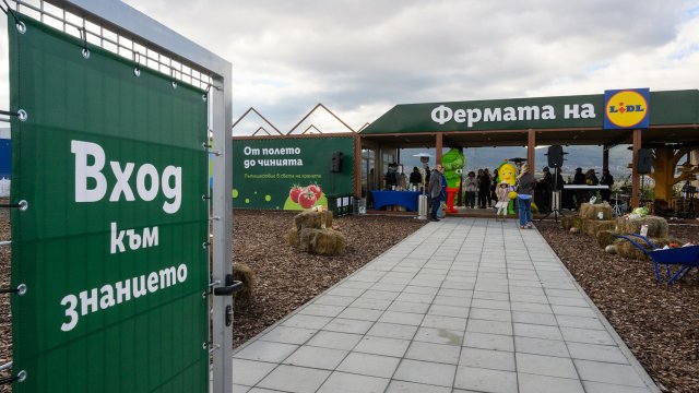 Снимка: Лидл България