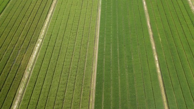 <p>
	<em>Снимка: Nicholas Axelrod/Bloomberg</em></p>
