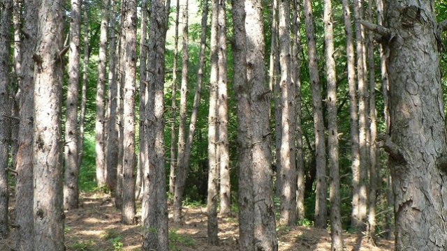 <p>
	<em>Снимка: Investor.bg</em></p>
