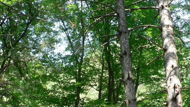 <p>
	Снимка: Investor.bg</p>
