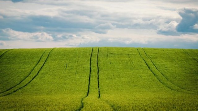 <p>
	<em>Снимка: Pixabay</em></p>
