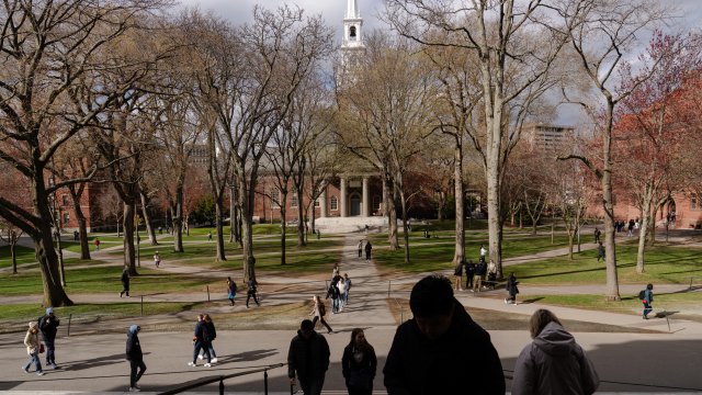 Дворът на Харвардския университет. Снимка: Sophie Park/Bloomberg
