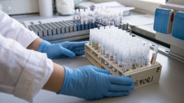 <p>
	<em>Снимка: gettyimages</em></p>
