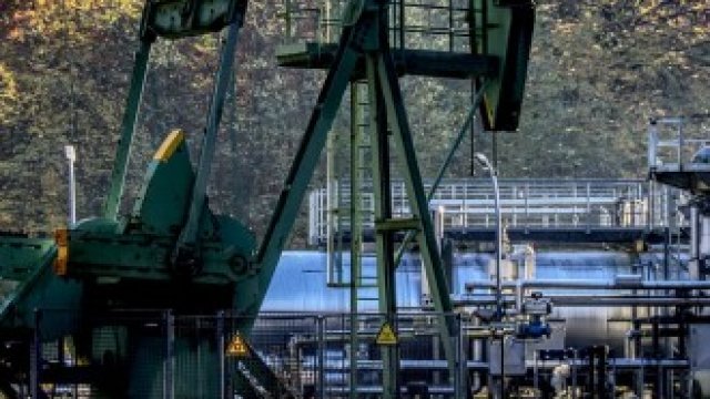 <p>
	Снимка: Pixabay</p>
