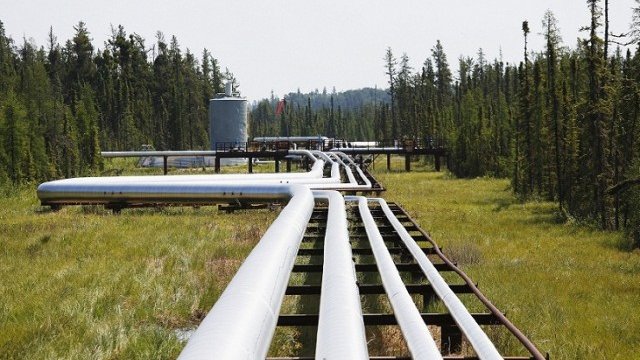 <p>
	Снимка: <em>архив Ройтерс</em></p>
