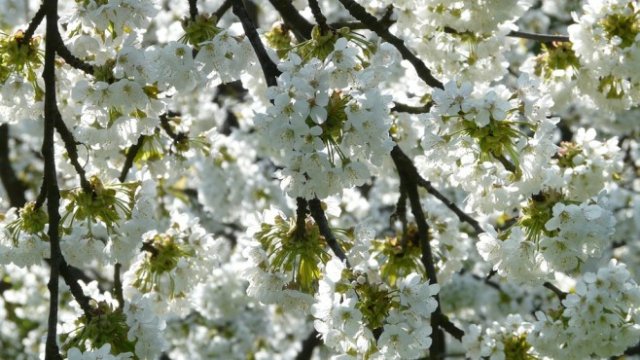 <p>
	<em>Снимка: Picabay</em></p>
