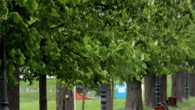 <p>
	<em>Снимка: Гергана Костадинова, БГНЕС</em></p>
