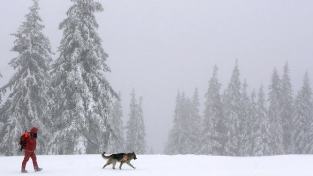 <p>
	<em>Снимка: Архив Ройтерс</em></p>
