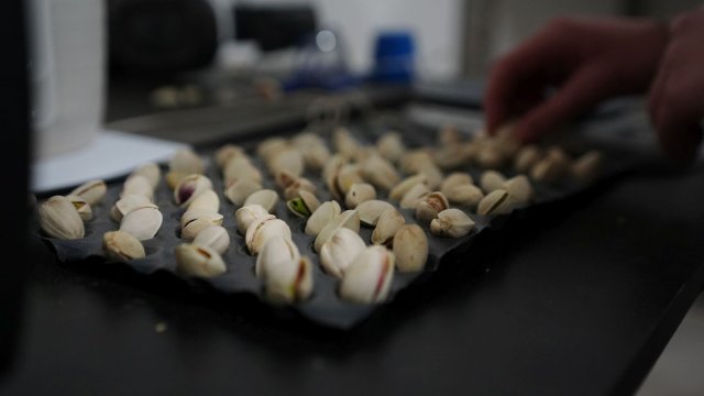 Работник сортира ядки шамфъстък. Снимка: Bloomberg LP