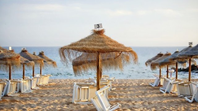 <p>
	<em>Снимка: Pixabay</em></p>
