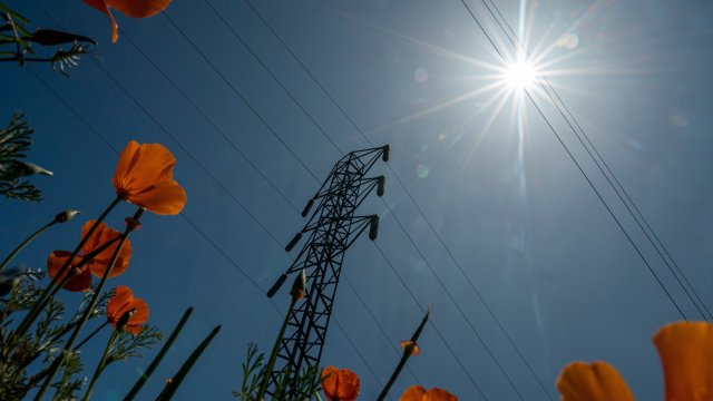 Снимка: Bloomberg L.P.