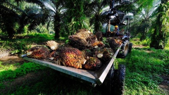 <p>
	<em>Снимка: Samsul Said/Bloomberg</em></p>
