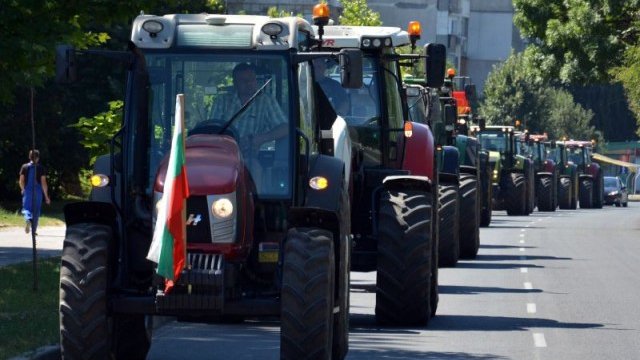 <p>
	Министерството на финансите не успя за шест месеца да докаже какъв ще е ефектът от монтирането на фискалните устройства, според председателя на УС на Асоциацията на зърнопроизводителите Румяна Ангелова. <em>Снимка: БТА</em></p>
