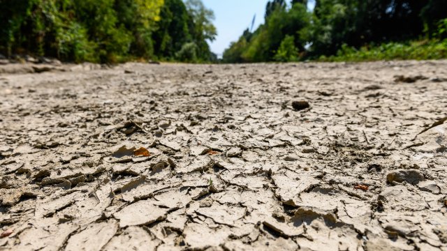 Снимка: Giuliano Berti/Bloomberg