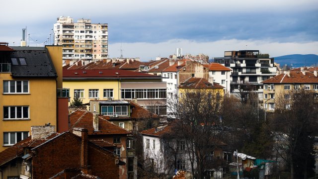 Снимка: Надежда Пеева, БГНЕС