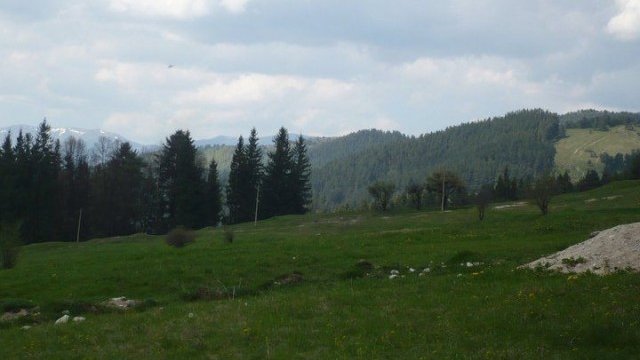 <p>
	Десетки хиляди декари гори бяха заменени и застроени в резултат на замените. <em>Снимка: Investor.bg</em></p>
