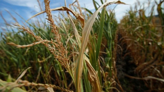 <p>
	<em>Снимка: Архив Ройтерс</em></p>
