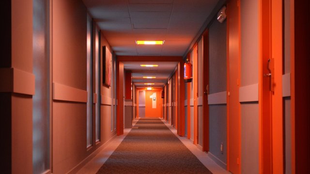 Снимка: Pixabay