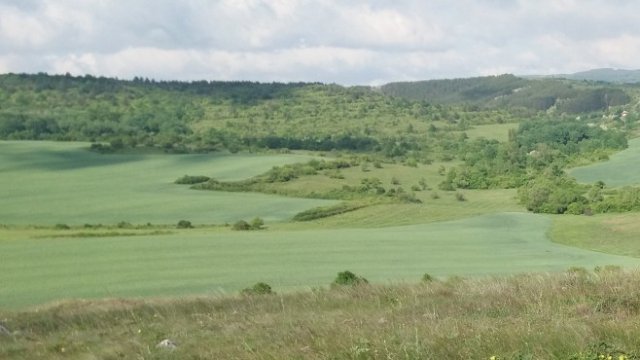<p>
	Снимка: Investor.bg</p>
