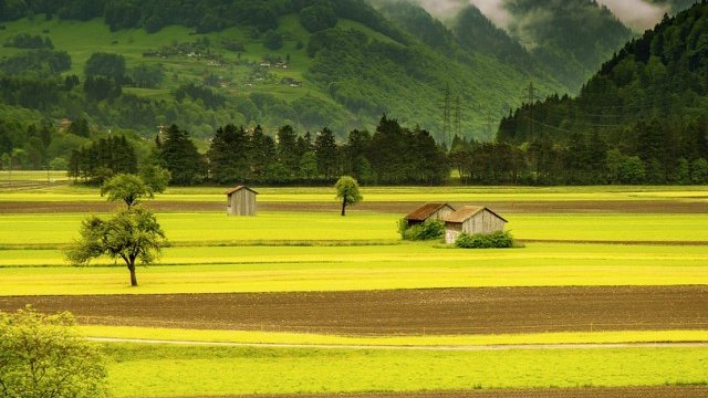 <p>
	<em>Снимка: Pixabay</em></p>
