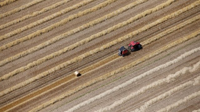 <p>
	<em>Снимка: Архив Ройтерс</em></p>
