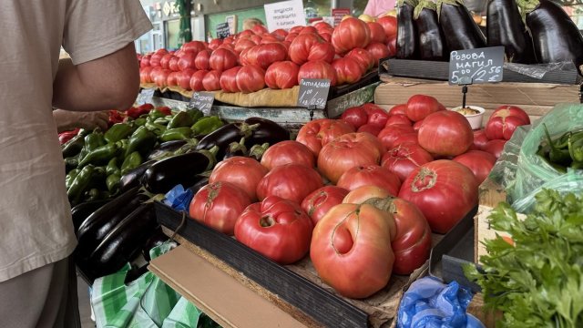 Снимка: БГНЕС