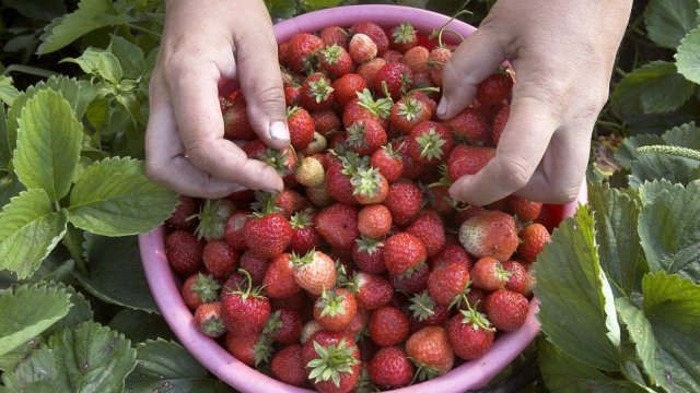 <p>
	<em>Снимка: архив Ройтерс</em></p>
