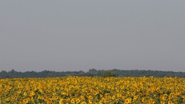 <p style="text-align: justify;">
	<em>Снимка: архив, Ройтерс</em></p>
