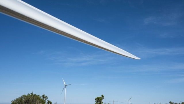 <p>
	<em>Снимка: Daniel Rodrigues/Bloomberg</em></p>
