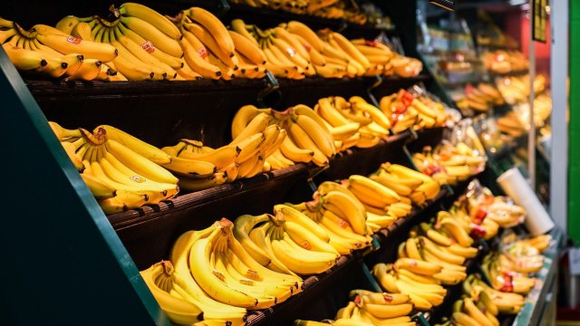 Снимка: Pixabay