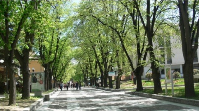 <p>
	<em>Снимка: община Велинград</em></p>
