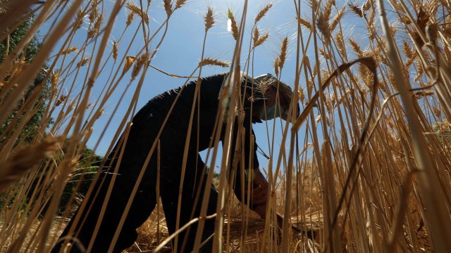 Снимка: Bloomberg L.P.