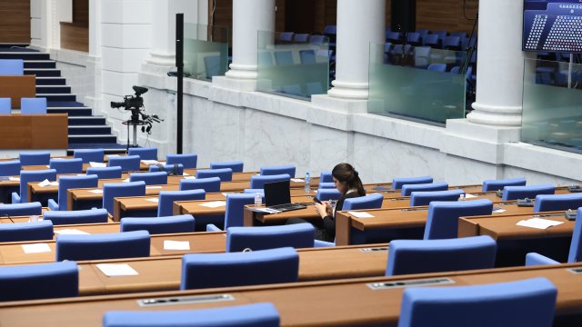 Снимка: БГНЕС