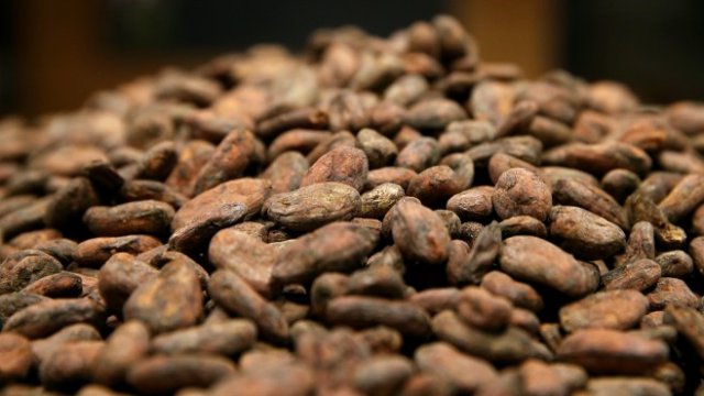 <p>
	<em>Източник: Getty Images News</em></p>
