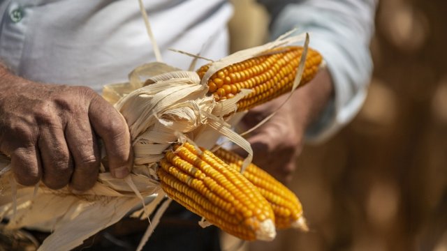 Снимка: Bloomberg LP