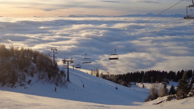 Снимка: Pixabay