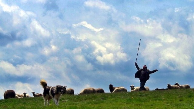 <p>
	<em>Снимка: Архив Ройтерс</em></p>
