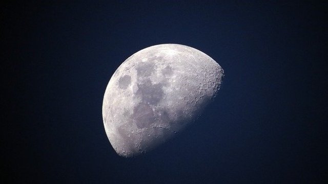 <p>
	<em>Снимка: Pixabay</em></p>
