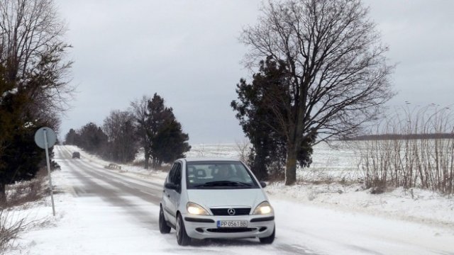 <p>
	<em>Снимка: БТА</em></p>
