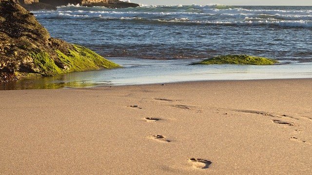 <p>
	<em>Снимка: Pixabay</em></p>
