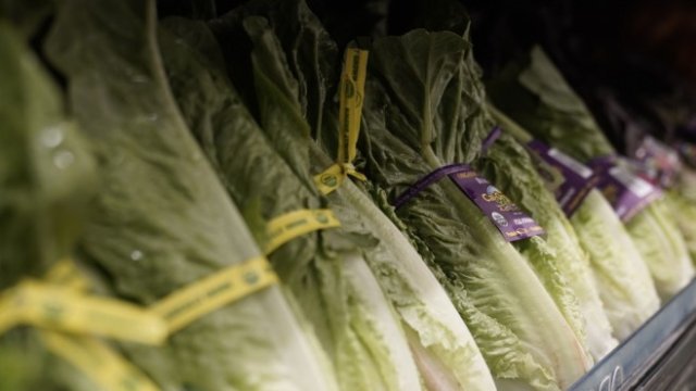 <p>
	<em>Снимка: Bloomberg</em></p>
