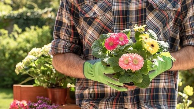 <p>
	<em>Снимка: Pixabay</em></p>
