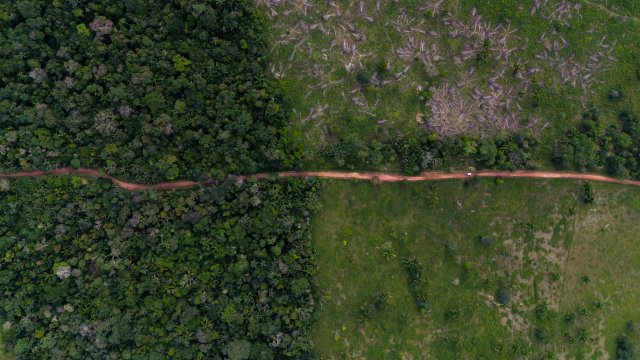 Снимка: Bloomberg L.P.