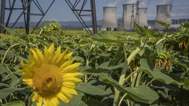 Снимка: Bloomberg LP