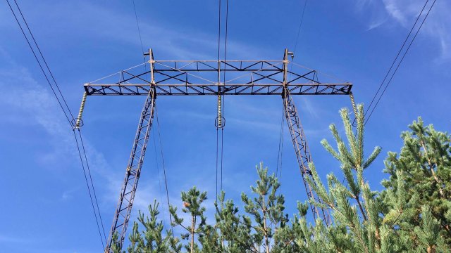 Снимка: Investor.bg