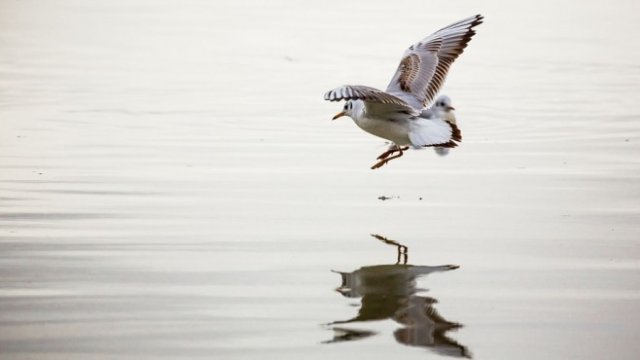 <p>
	<em>Снимка: Рixabay</em></p>
