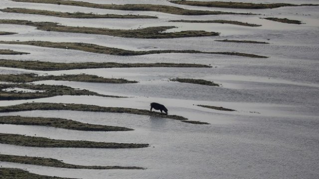 <p>
	<em>Снимка: Архив Ройтерс</em></p>
