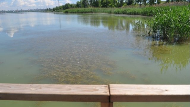 <p>
	<em>Снимка: община Бургас</em></p>
