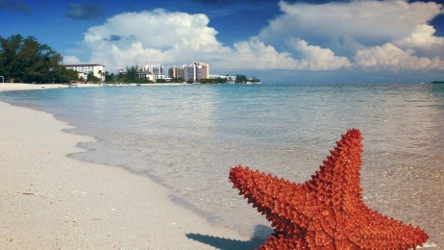 <p>
	<em>Снимка: Pixabay</em></p>
